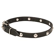 "Smart Elegance" Leather Dog Collar with Pins