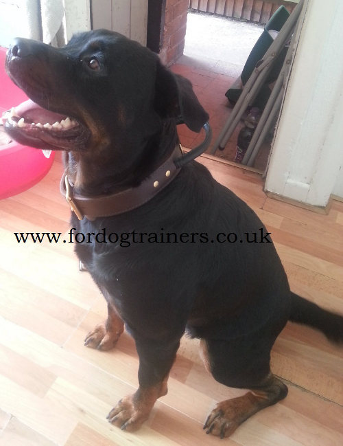 Rottweiler Collars UK