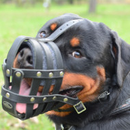 Strong Leather Dog Muzzle