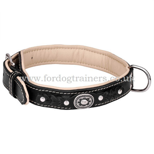 Designer Dog Collar