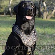 Royal Dog Harness