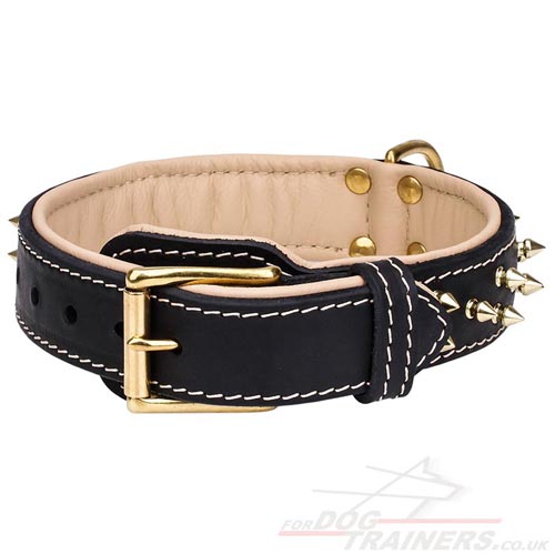 Soft Padded Leather Dog Collar Design