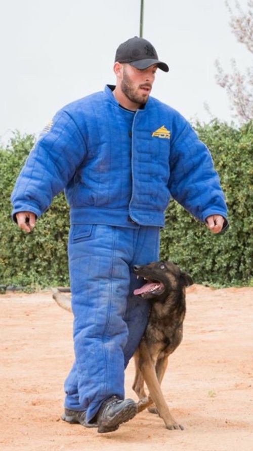 Dog Bite Suit for agitation work