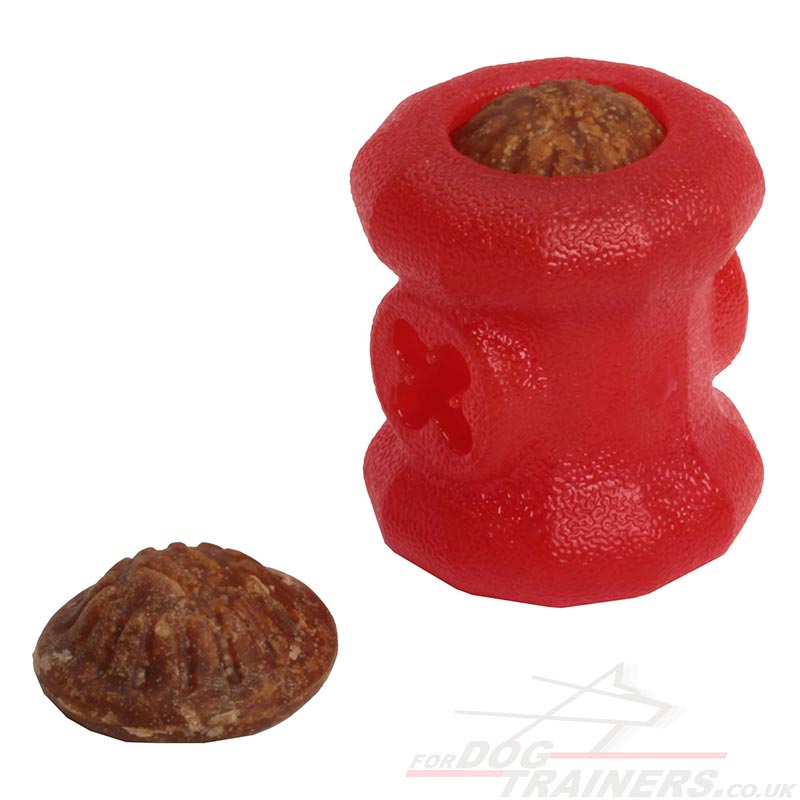 toys for boredom best toys for boredom small toys for chewing toys for boredom best toys for boredom small toys for chewing