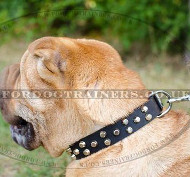 Designer Dog Collar with Pyramids