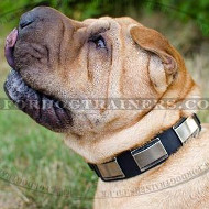 Strong Leather Dog Collar for Shar Pei Dogs Walking