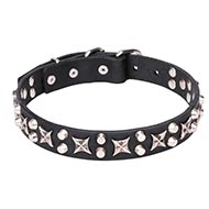 Wonderful Decorated Dog Collar "Shining Stars"