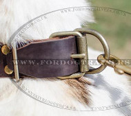 New Dog Collar for Siberian Husky | Designer Dog Collars UK