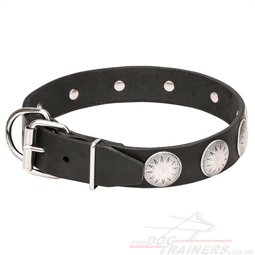 Studded Leather Dog Collar with Buckle