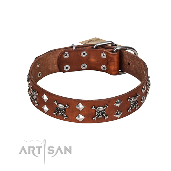Natural Leather Dog Collar Designs