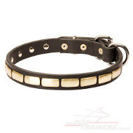 Small Dog Collar | Necklace Dog Collar