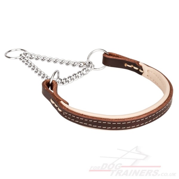 Best Dog Martingale Collar