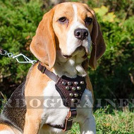 Small Dog Harness for Beagle with Studs | Leather Dog Harness