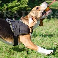 Small Dog Harness for Beagle Walking | Dog Harness with Handle