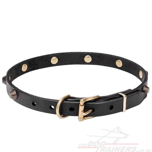 Leather Dog Collar with Buckle