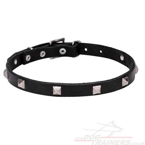 Dog Fashion Collar for Puppies and Big Dogs