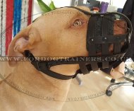 Daily Super Air-Flow Dog Muzzle for Pitbull Muzzle Size UK