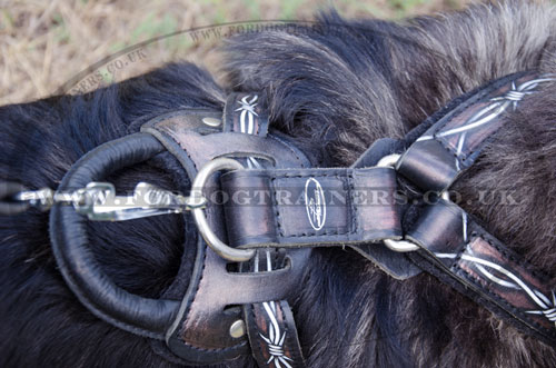 soft chest dog harness for Caucasian Shepherd