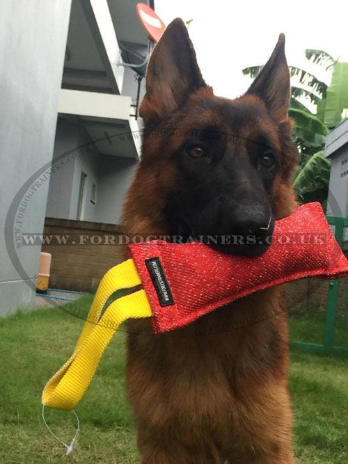 German Shepherd Training Biting Tool