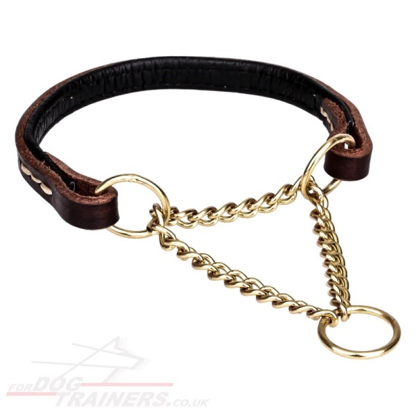 Leather Dog Collar Martingale Style