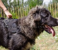 Towing Nylon Dog Harness with Handle for Caucasian Shepherd