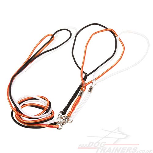 Walking Dog Collar and Lead in One