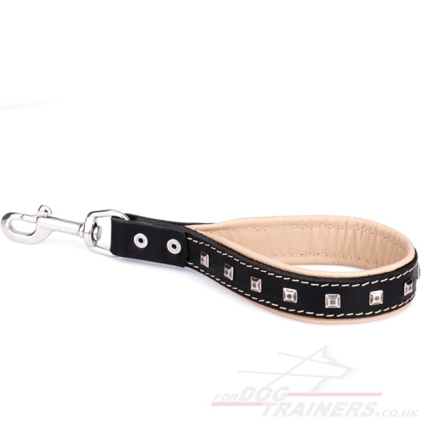 Soft Dog Leash with Padded Handle
