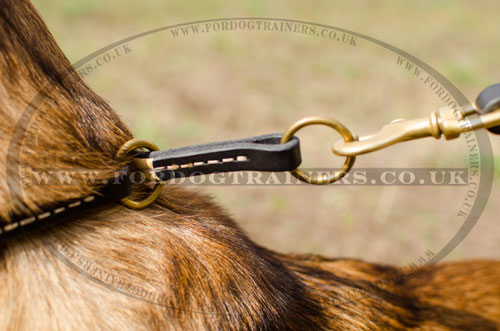 dog collar for malinois