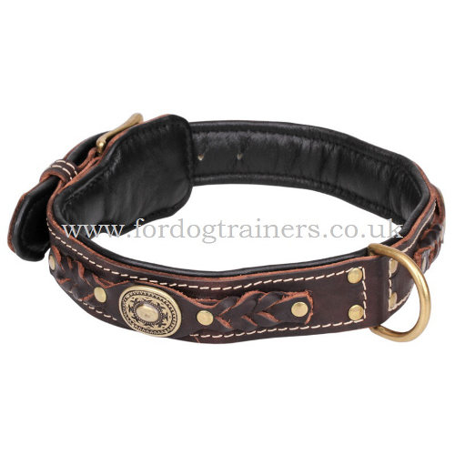 Royal Dog Collar