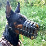 Soft Padded Dog Muzzle for Doberman Pinscher Muzzle Size Soft Padded Dog Muzzle for Doberman Pinscher Muzzle Size