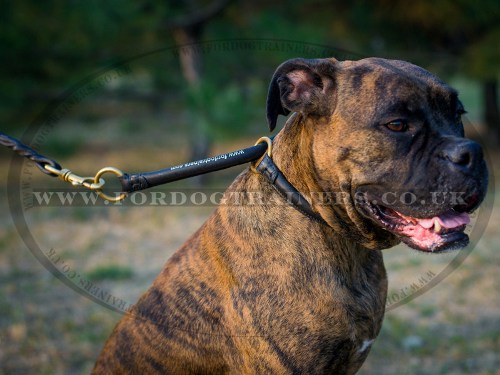 Round Leather Dog Collar for Boxer