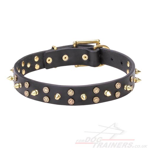 Sparkle Dog Collars Studded Design