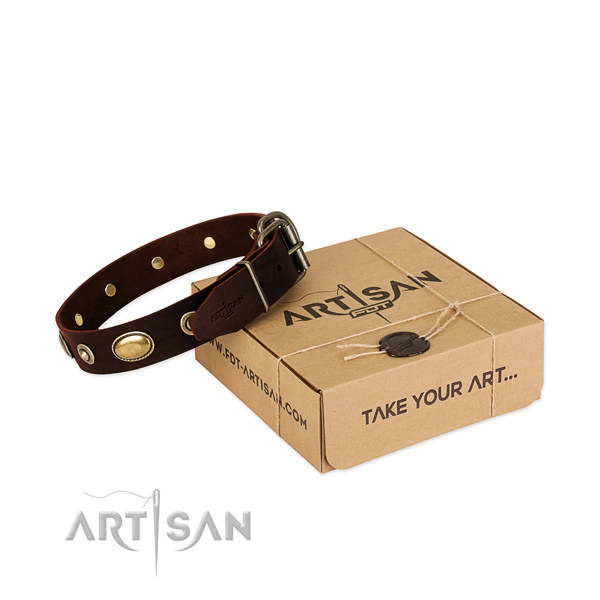 Brown Leather Dog Collar for Big Dogs
