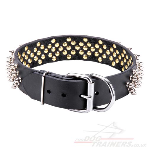 Awesome Dog Collar