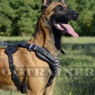 Belgian Malinois Dog Harness with Spikes