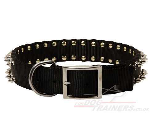 nylon dog collar with metal buckle