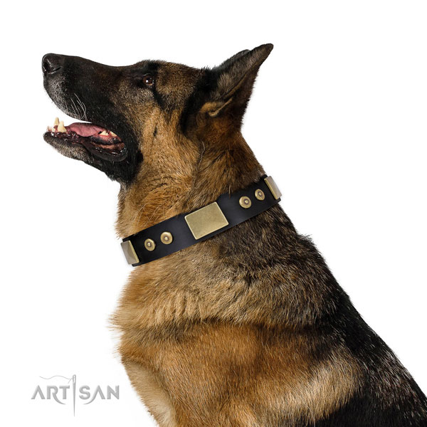 Buy German Shepherd Collars UK