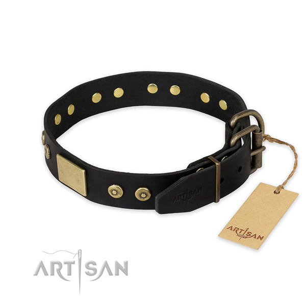 Buy Designer Dog Collar