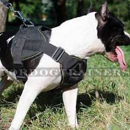 NEW Staffordshire Bull Terrier Harness Nylon with Handle