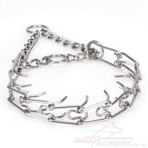 Stainless Steel Prong Collar for Dogs