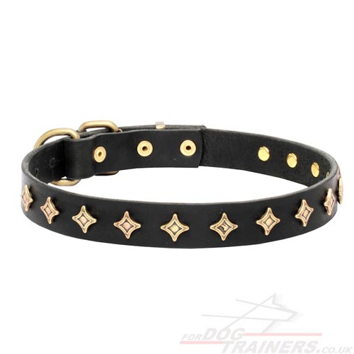 Designer Dog Collar