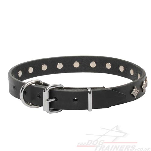 cool dog collar