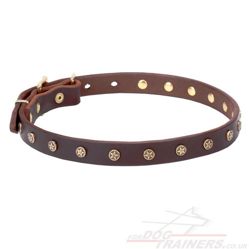 Fine Dog Collar Design