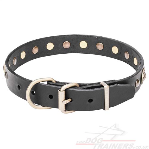 Dog Buckle Collar