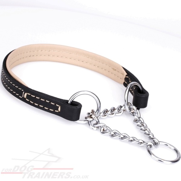 Strogn Dog Collar for Training