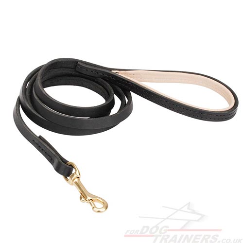 Padded dog training leash