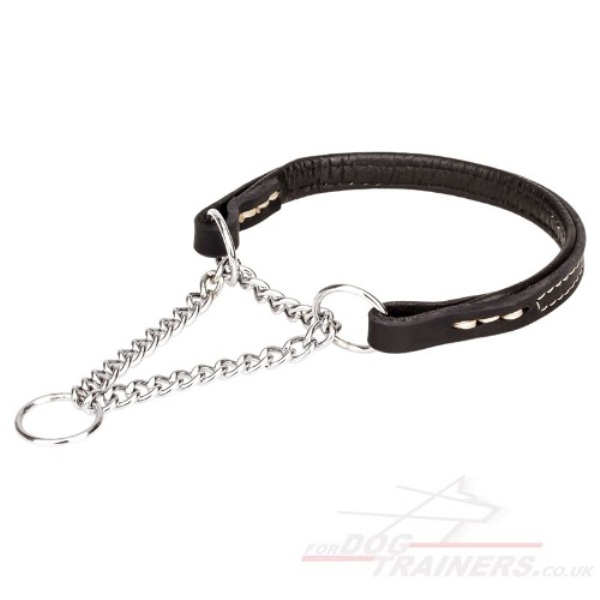 Chain Martingale Dog Collar Padded