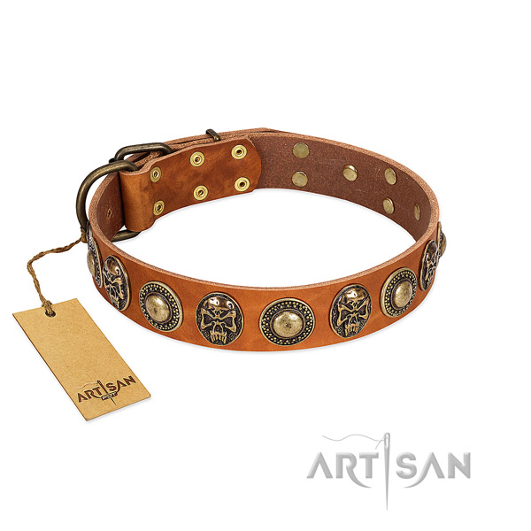 Mysterious Pirate Light Tan Leather Dog Collar