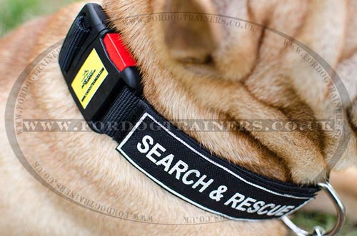 Chinese Shar Pei Dog Collar
