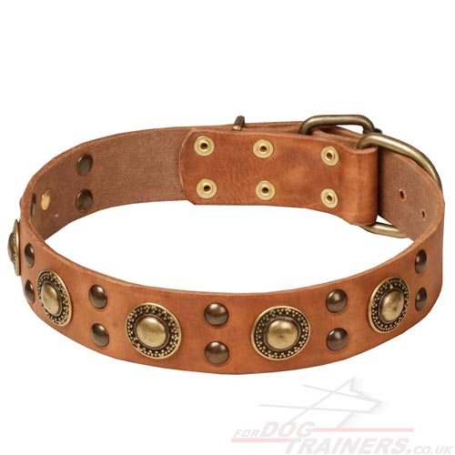 Strong Stuff Dog Collars